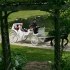 Talcott Photography - Farmington CT Wedding  Photo 3