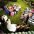Photography by Solaria - Albuquerque NM Wedding  Photo 4