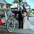 HighHorse Carriage Rides, Inc. - Orlando FL Wedding Transportation Photo 3
