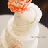 Steel Penny Cakes - Mount Pleasant PA Wedding Cake Designer Photo 5