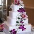 Angel's Sweet Tooth - Nokomis FL Wedding  Photo 4
