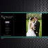 K&S Wedding Videos & Photography - Lansdale PA Wedding 