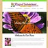 Wings of Enchantment Butterfly Farm - Albuquerque NM Wedding Supplies And Rentals