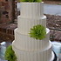 Couture Cakes of Greenville - Greenville SC Wedding Cake Designer Photo 4